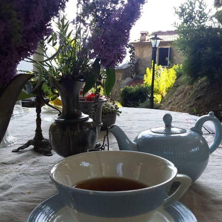 Casa Emilia Villa Stazzema Dış mekan fotoğraf