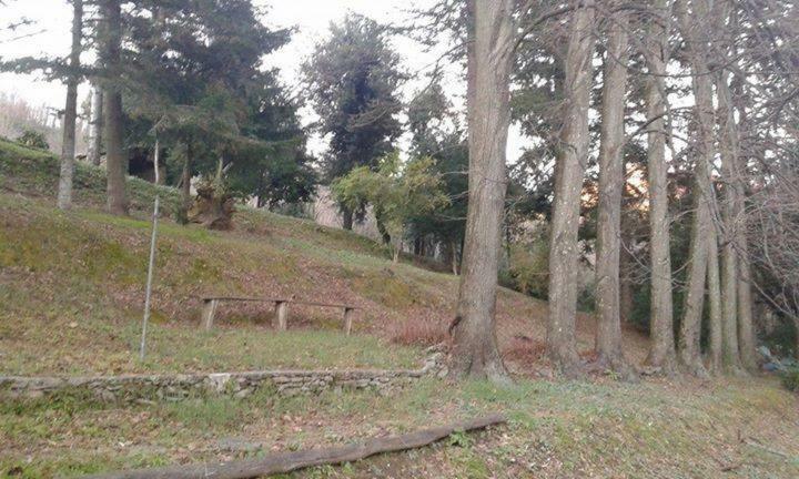 Casa Emilia Villa Stazzema Dış mekan fotoğraf
