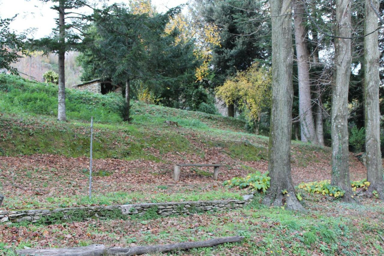 Casa Emilia Villa Stazzema Dış mekan fotoğraf