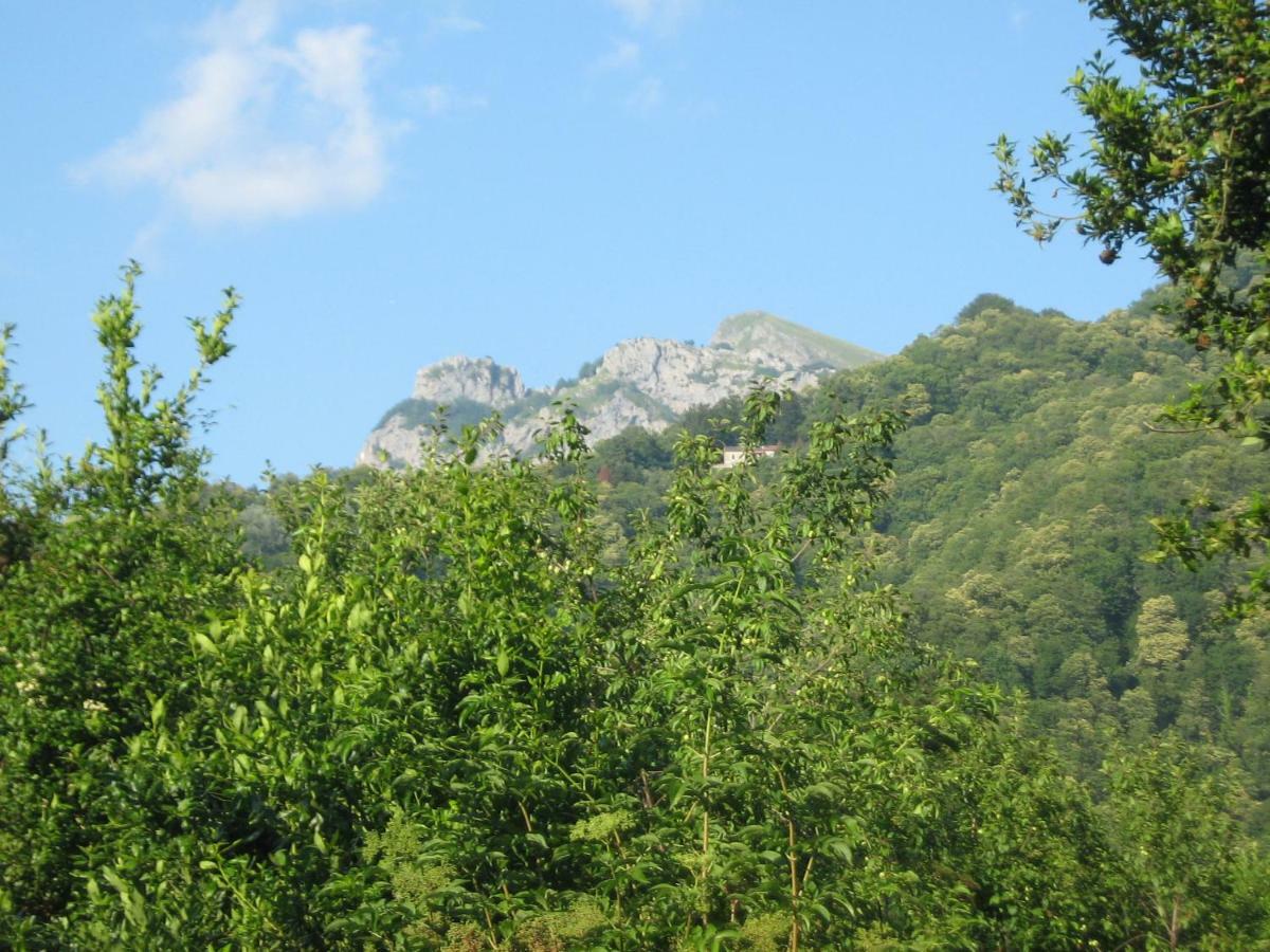 Casa Emilia Villa Stazzema Dış mekan fotoğraf